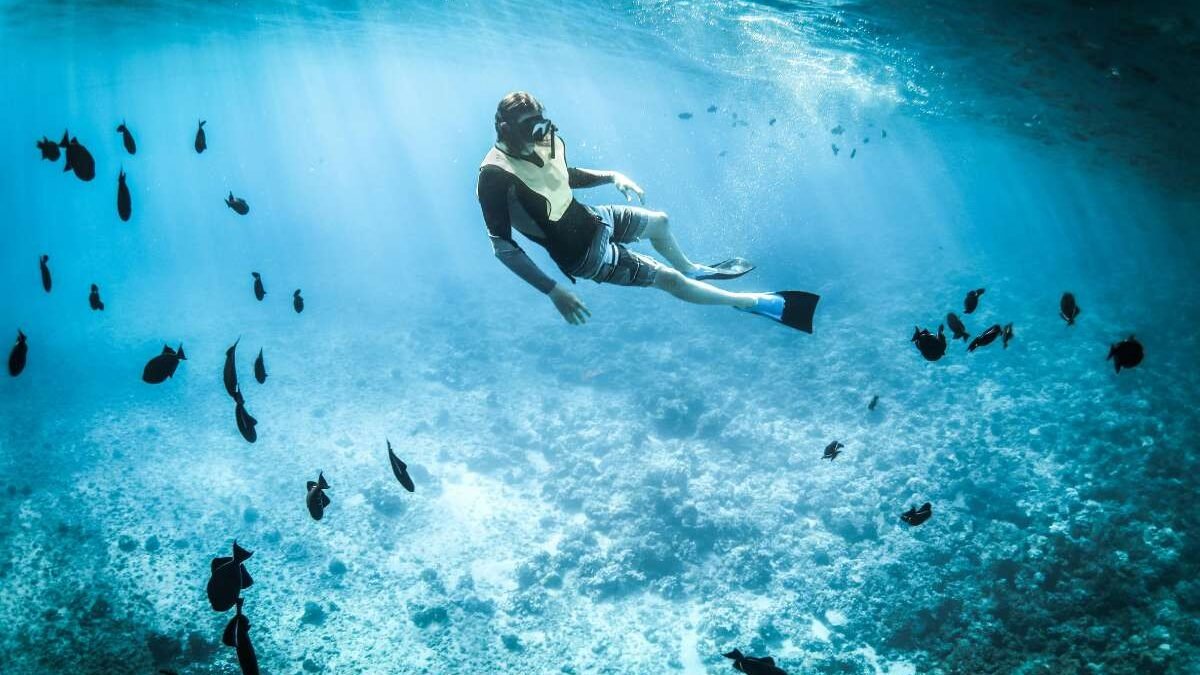 Person swimming in crystal clear water in Paleokastritsa with visible rocks and fish underwater.