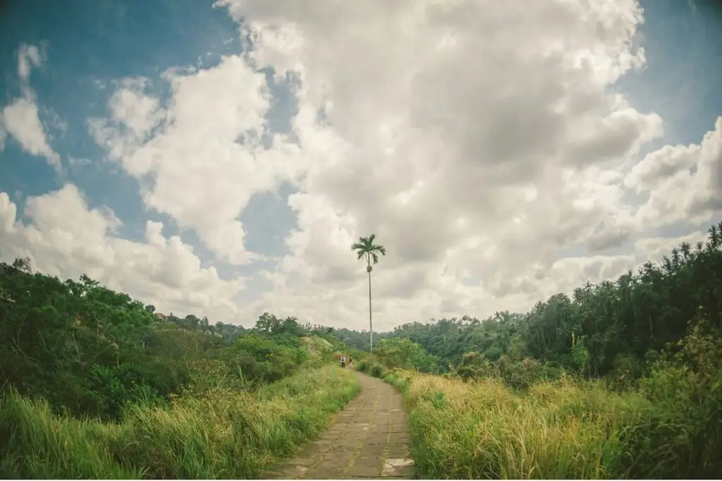Campuhan Ridge Walk, Ubud