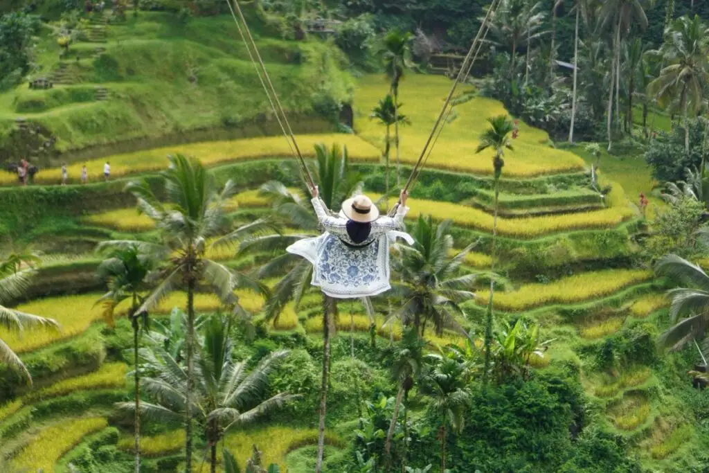 Bali Swing, Ubud