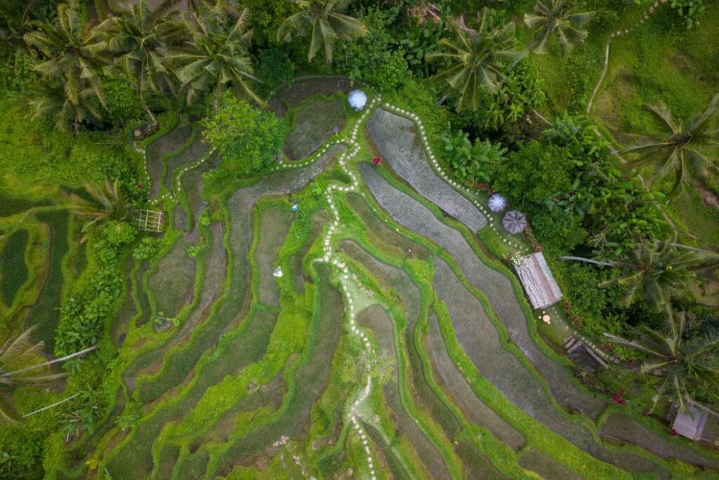 Elegant resort swimming pool and private villas in Ubud town center, Bali with lush jungle surroundings