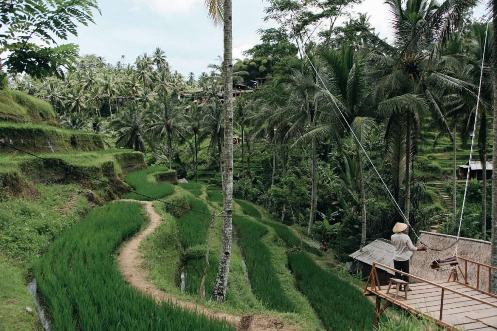 Best Hotels in Tegallalang
