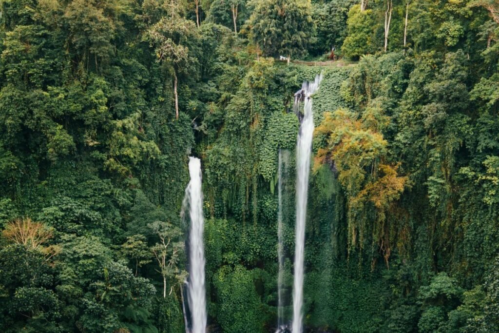 Sekumpul Waterfall, Buleleng