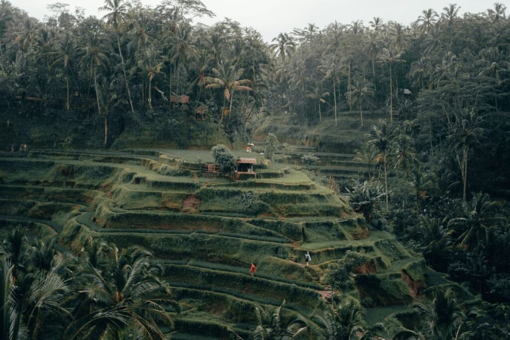 Hotels near Tegallalang rice terraces in Ubud Bali