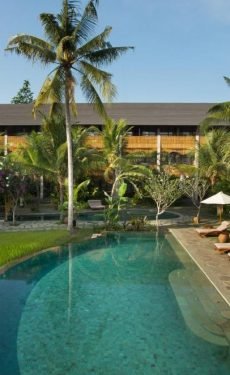 15Tropical swimming pool surrounded by palm trees at Alaya Resort Ubud in Bali