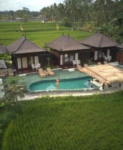 Private Balinese villa surrounded by rice fields in Tegallalang