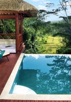 Luxury villa balcony with wooden interiors and jungle view