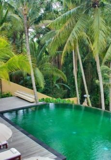 Luxury infinity pool surrounded by tropical greenery at Komaneka at Rasa Sayang in Ubud, Bali