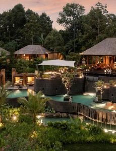 Boutique infinity pool blending into rice fields in Tegallalang