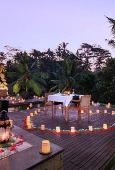 Romantic jungle suite with wooden interior and balcony views